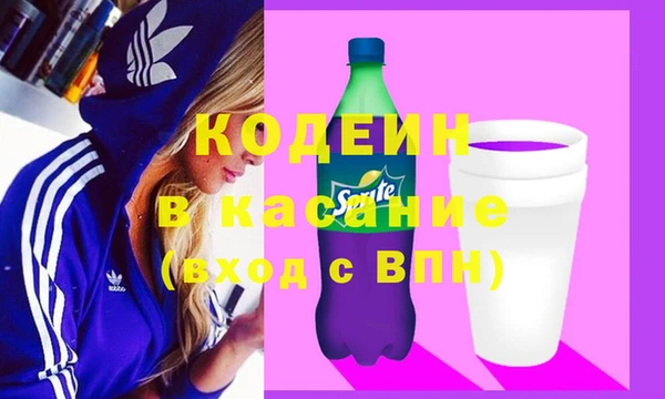 прущие грибы Коряжма