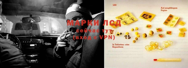 прущие грибы Коряжма