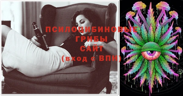 ГАЛЛЮЦИНОГЕННЫЕ ГРИБЫ Магадан