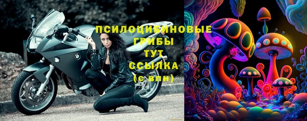 дмт Кодинск