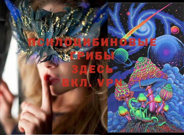 крисы Костерёво