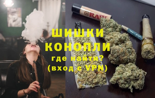 прущие грибы Коряжма