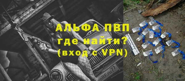 каннабис Корсаков