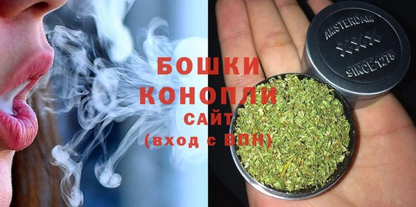 прущие грибы Коряжма