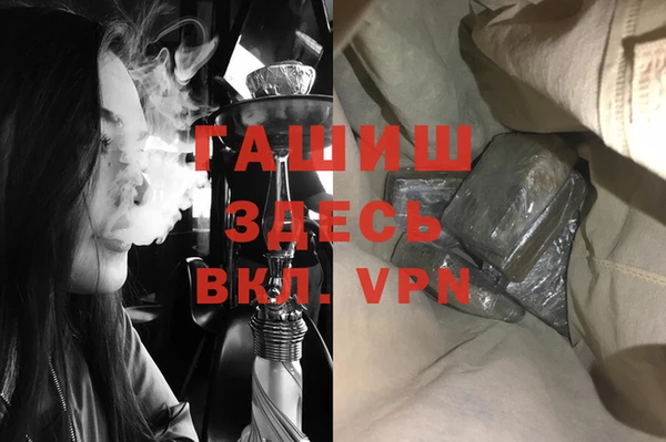 прущие грибы Коряжма