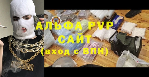 прущие грибы Коряжма