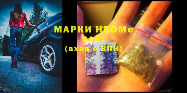 прущие грибы Коряжма