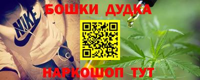стафф Дубна