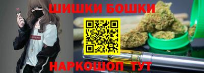 стафф Дубна