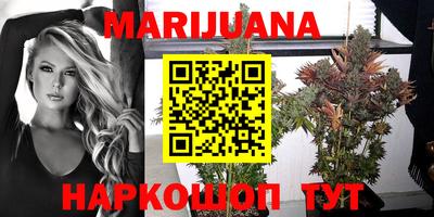 стафф Дубна