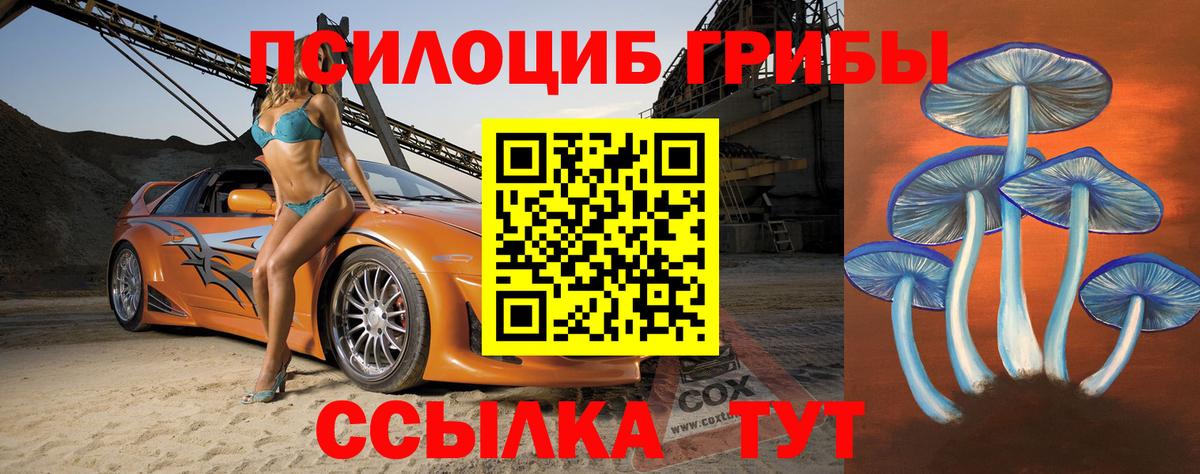 Псилоцибиновые грибы ЛСД  Сосновый Бор  Псилоцибиновые грибы Cubensis 