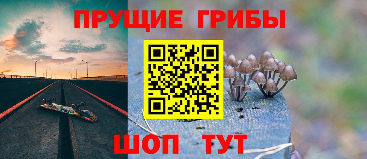 LSD-25 Сосновый Бор